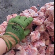 27284膝盖骨