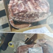 1365上脑心