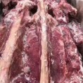 加肉羊蝎子
