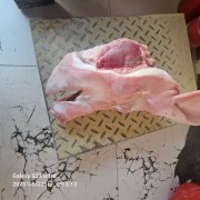 肥猪一级带耳头