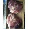 臀肉特价价格你开