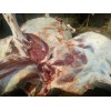 驴肉批发