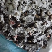 乌鸡长短骨