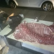 新鲜驴肉