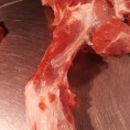鲜猪带肉后腿骨