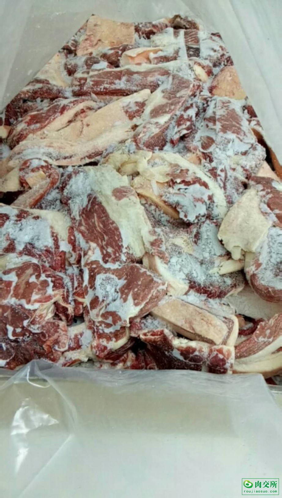 进口牛碎肉