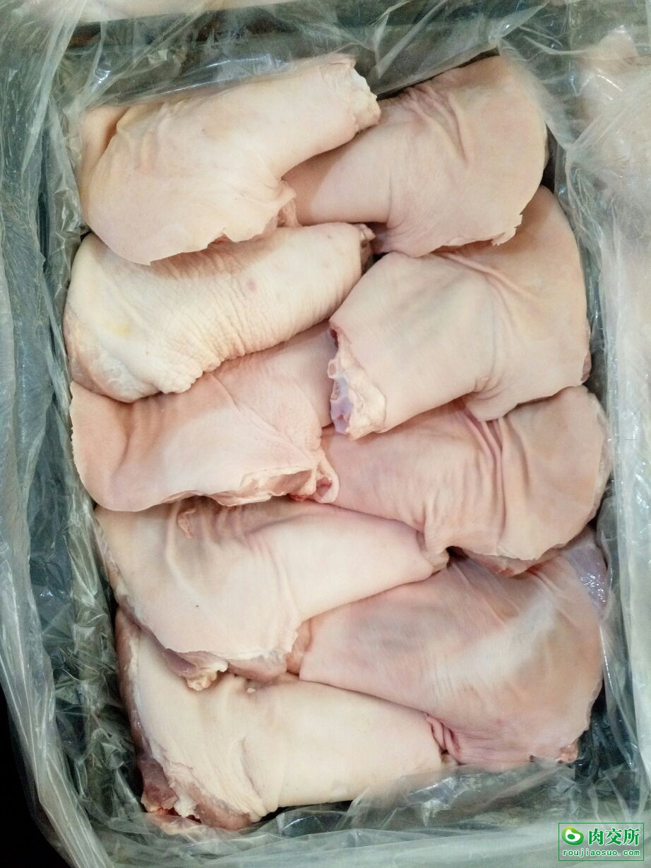 首页 供应 猪产品 猪肘类 冻猪肘子        分享到       价格:16000