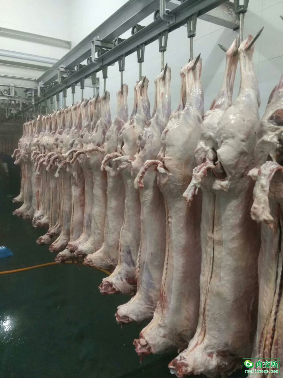 锡盟羔羊肉批发内蒙古包头市锡盟羔羊肉价格_肉交所