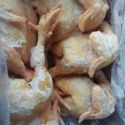 肉鸡白条