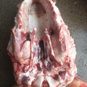 牛头肉