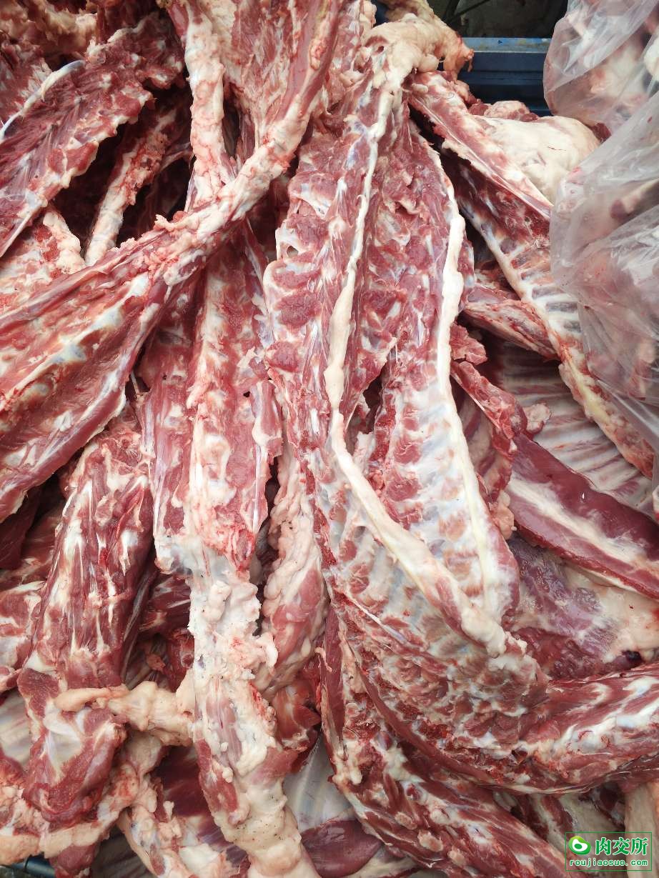 羔羊脊骨羊蝎子