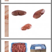 比利时153猪腰