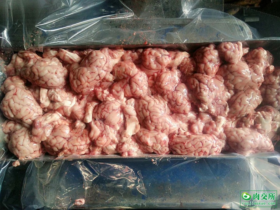 鲜冻羊脑