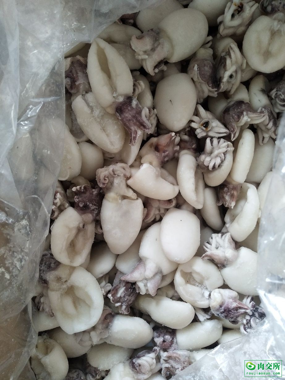 东海岛单冻墨鱼仔