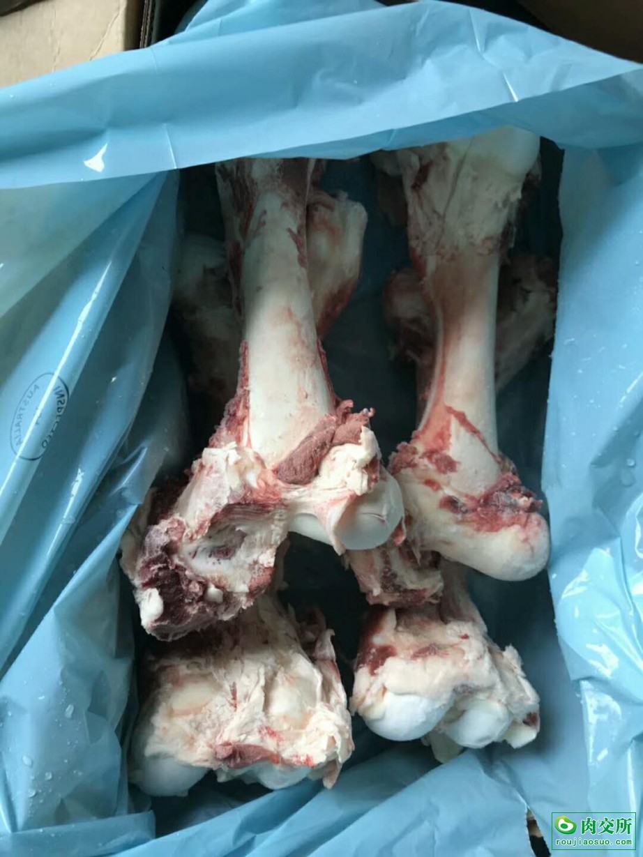 澳洲154牛腿骨