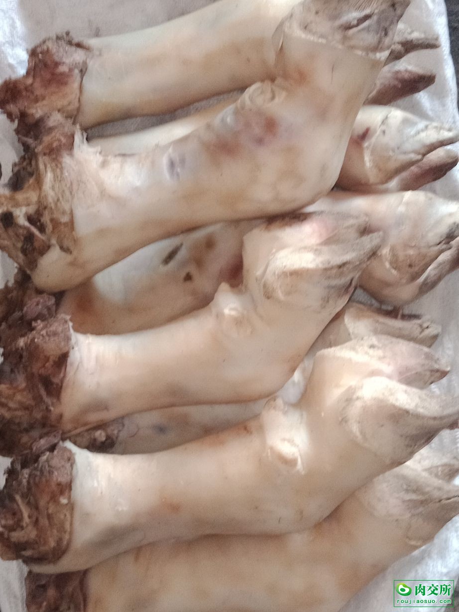 带皮纯干牛蹄筋