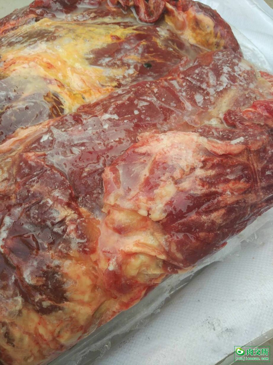 蒙古马前腿批发山东德州市蒙古马前腿价格_肉交所