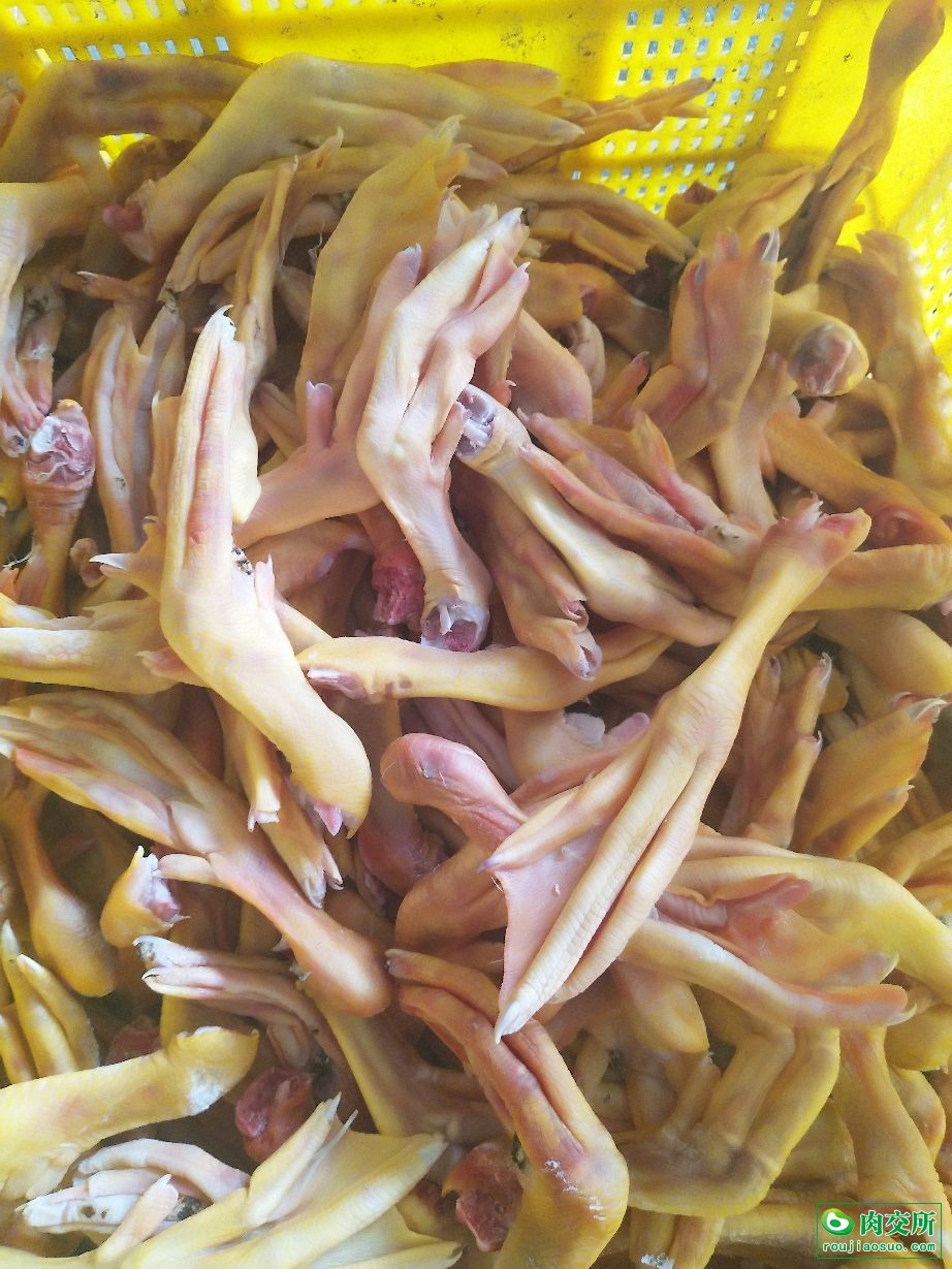 黄皮鸭爪