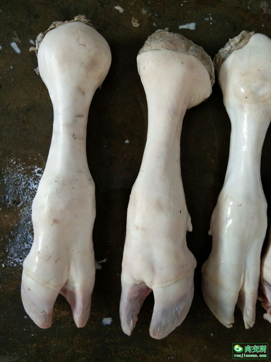 白条牛蹄批发山东德州市白条牛蹄价格_肉交所