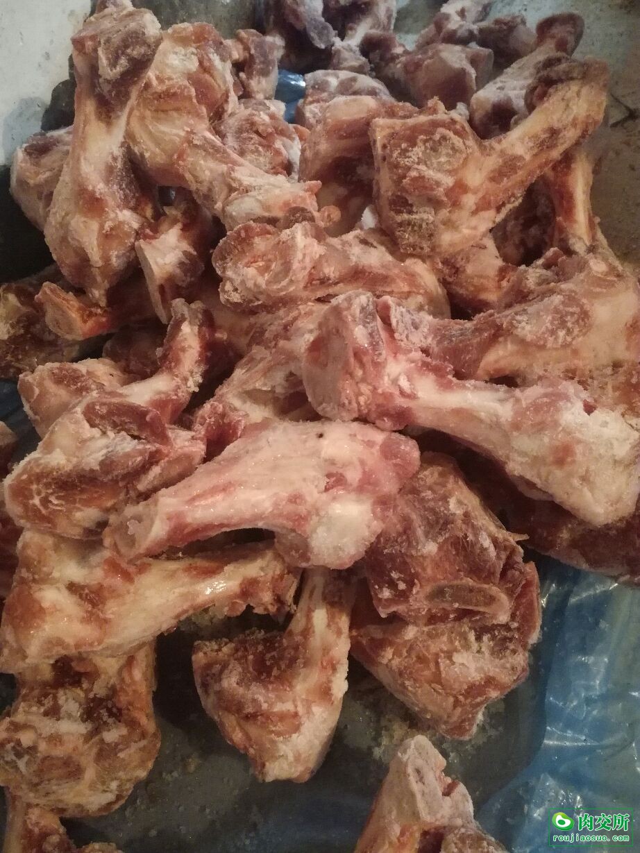 猪前腿骨
