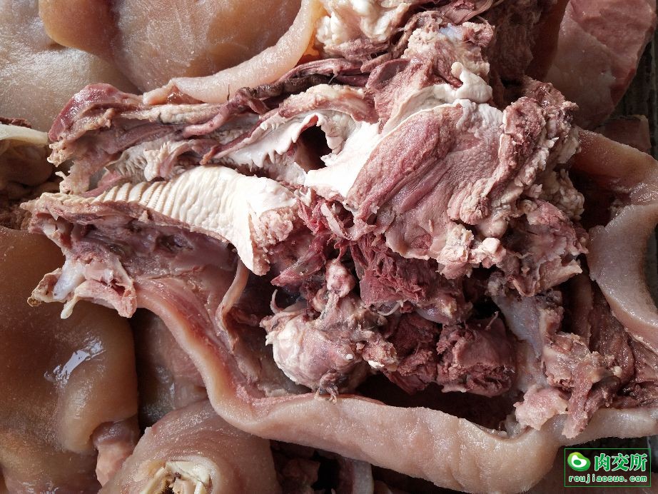 熟带皮牛头肉