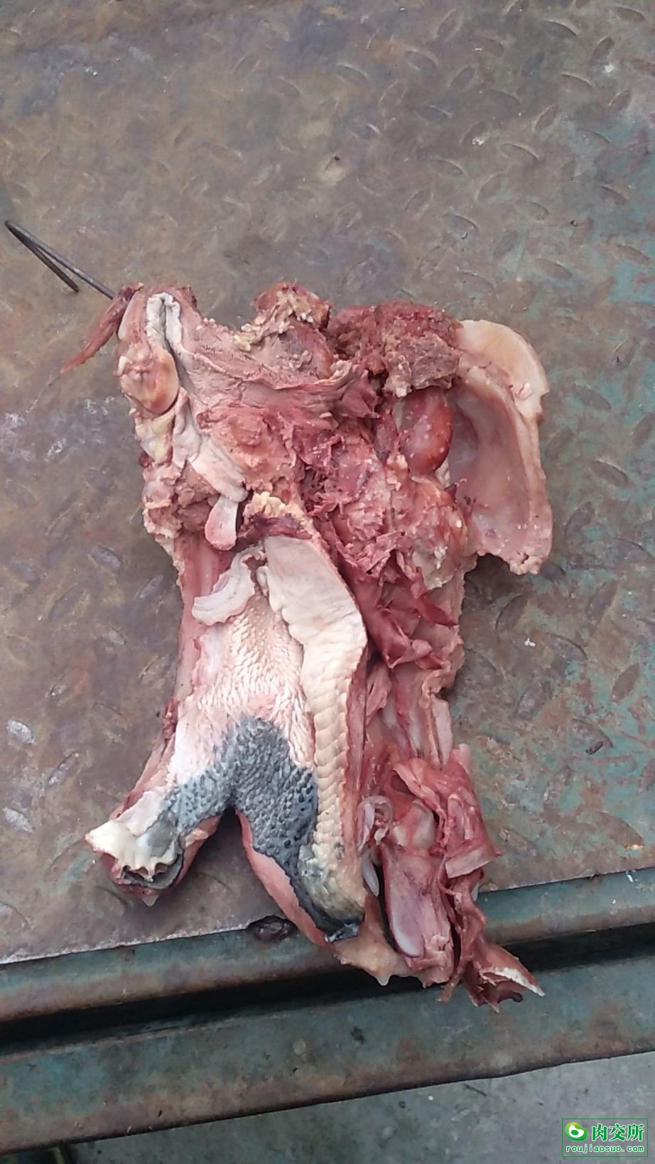 去皮带皮牛头肉