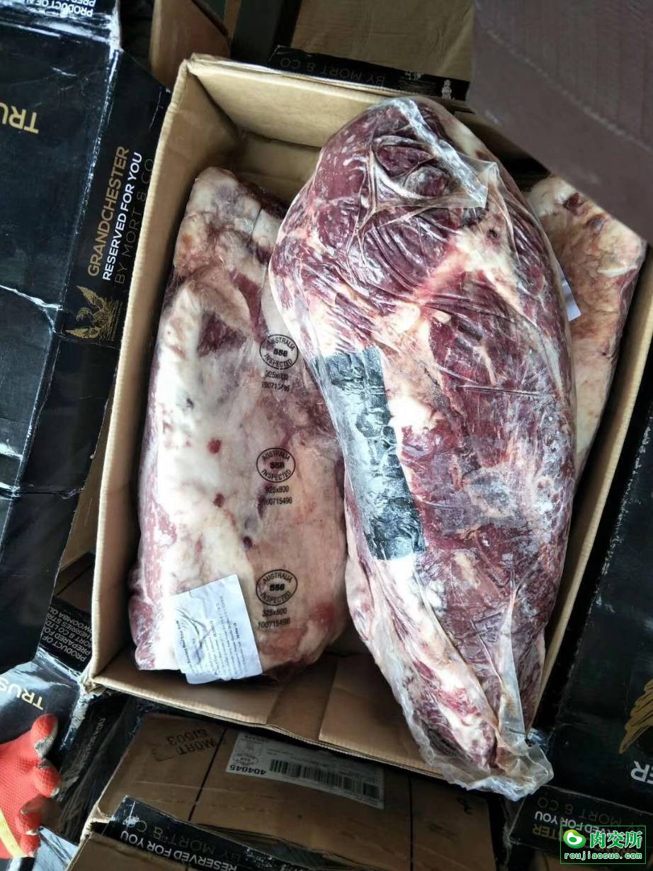 首页 供应 牛产品 宝乐肩 安格斯保乐肩   分享到  价格:48000元/吨