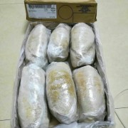 澳洲百叶291