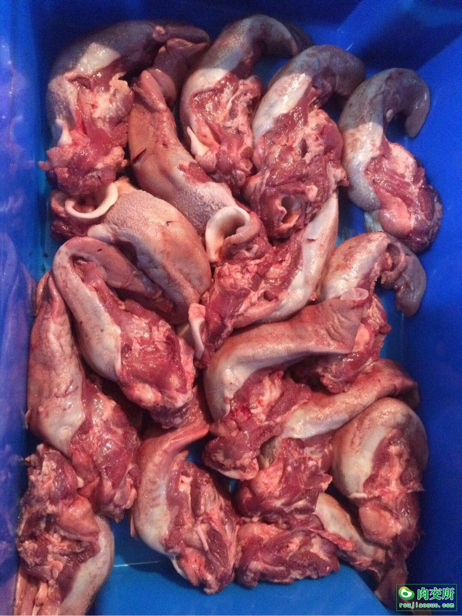 首页 供应 猪产品 猪耳口条 鲜猪口条        分享到       价格:20元