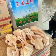 三黄鸡