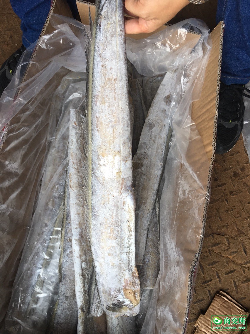 去头带鱼批发福建福州市去头带鱼价格_肉交所