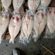 巴沙鱼开背鱼