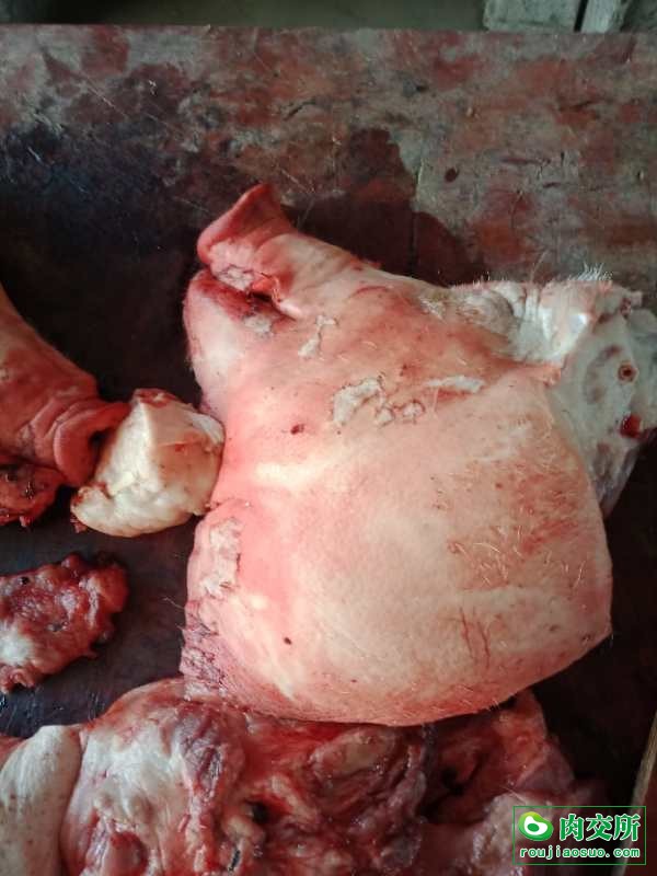 猪槽头肉