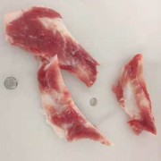 波兰的月亮骨