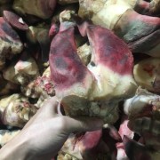 国产鲜黄牛蹄