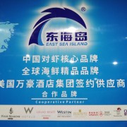 东海岛裙边贝串