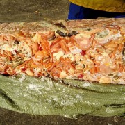 肉鸡肠子