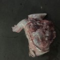 国产带耳猪头