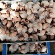 包油腰子
