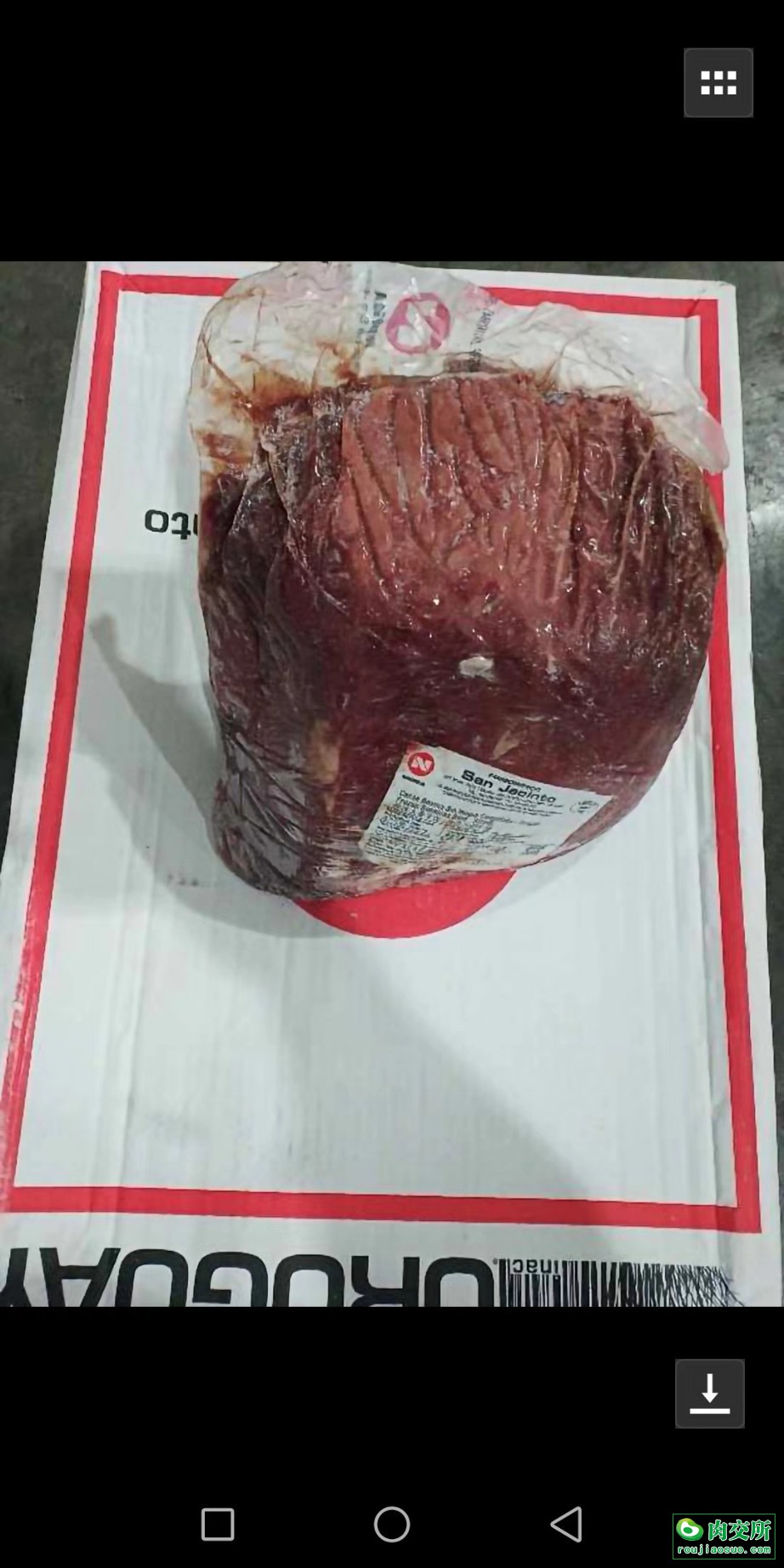 首页 供应 牛产品 其他产品 臀腰肉心        分享到       价格:4