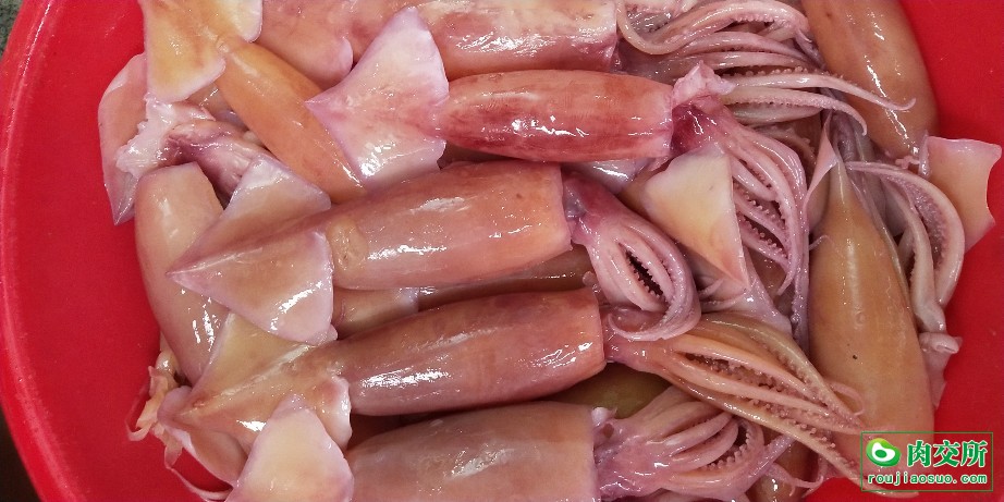 水发朝鲜鱿鱼