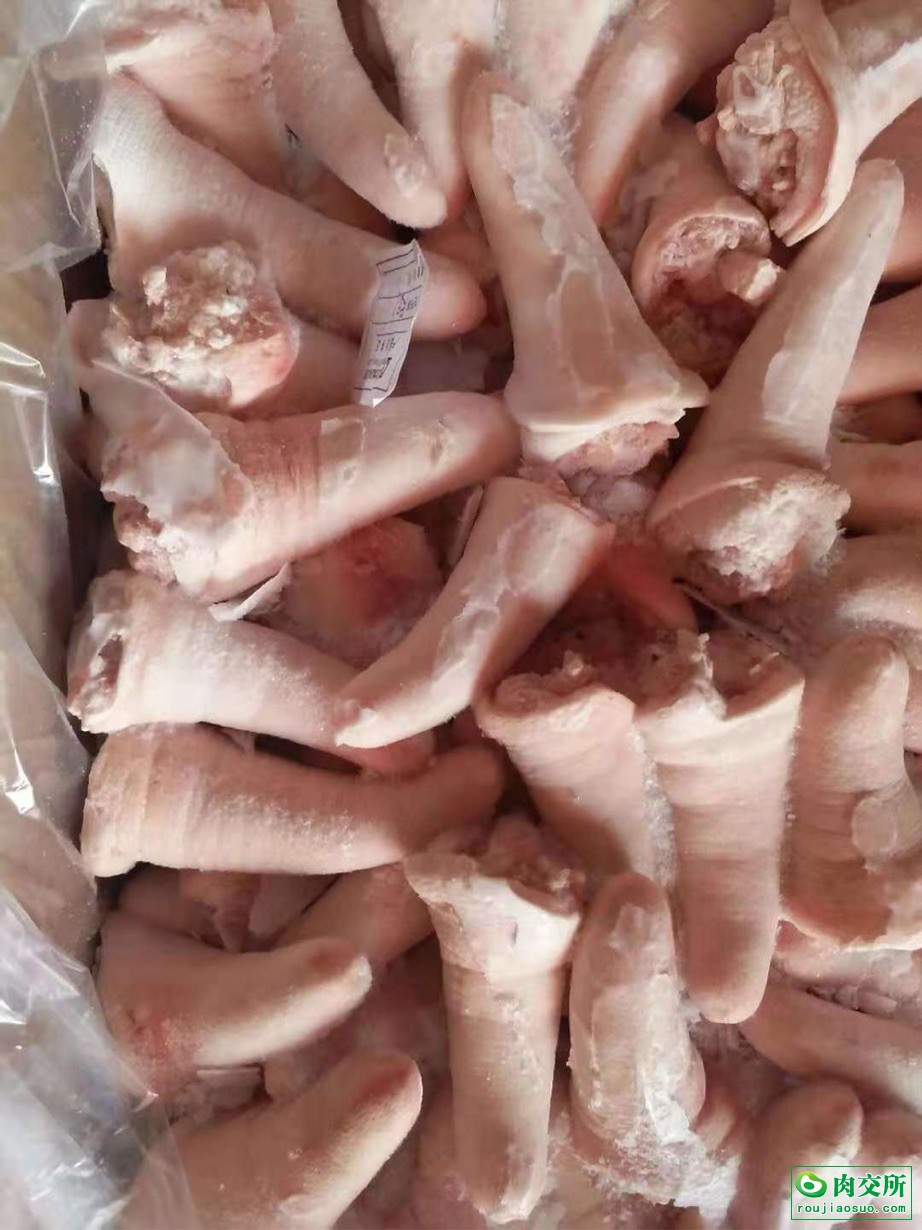 首页 供应 猪产品 猪尾巴 猪短尾        分享到       价格:40000元