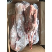 白条仔鹅