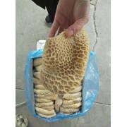 金肚