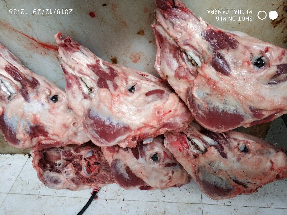 猪头骨批发广西南宁市猪头骨价格_肉交所