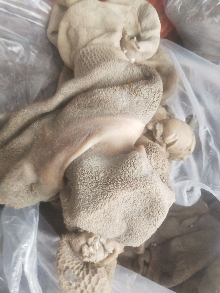 图片展示全熟羊肚.无任何添加剂.纯干货.