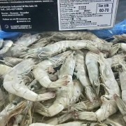 60/70盐冻虾