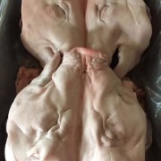 无耳猪头