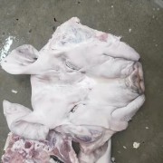 猪头