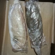 鳎目鱼比目鱼